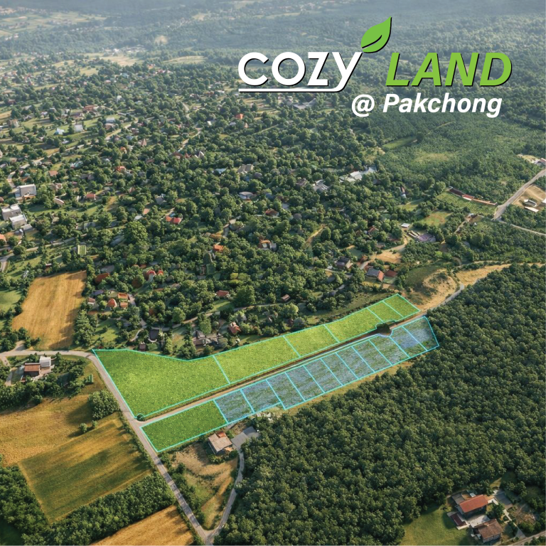 COZY LAND 1 @Pakchong ที่ดินปากช่อง เขาใหญ่
